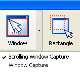 Solid Capture Window button