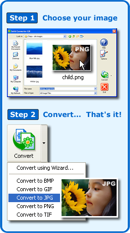 Solid Converter GX - Kostenloser Download