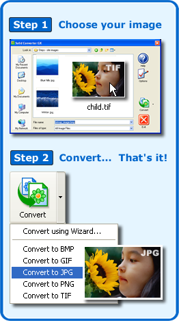 Solid Converter GX - Descarga gratuita