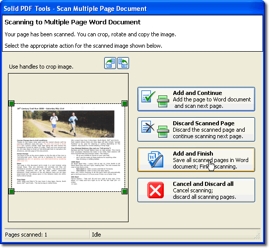    pdf  word 