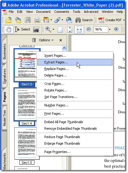 Choose the pages to extract