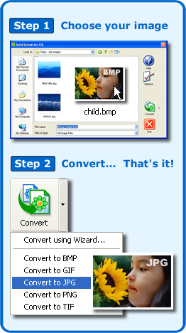 Solid Converter GX - Gratis downloaden