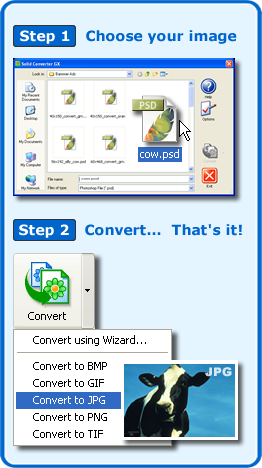 Solid Converter GX - Descarga gratuita