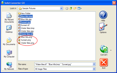 Solid Capture GX Main Screen after file conversion